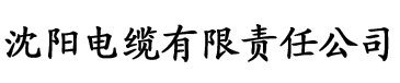 伊人久久大香线蕉综合不卡电缆厂logo